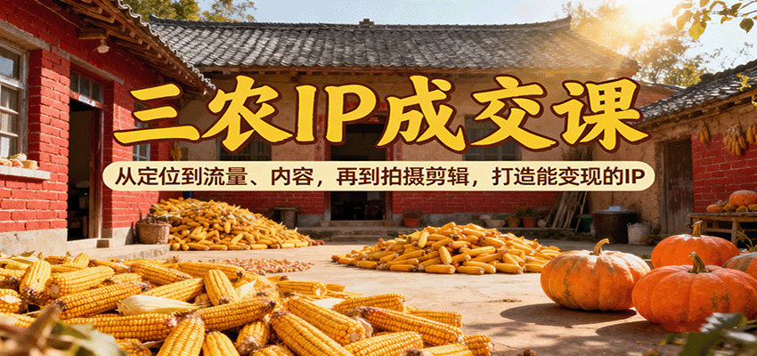 三农IP成交课：从定位到流量、内容，再到拍摄剪辑，打造能变现的IP-Ai创业网