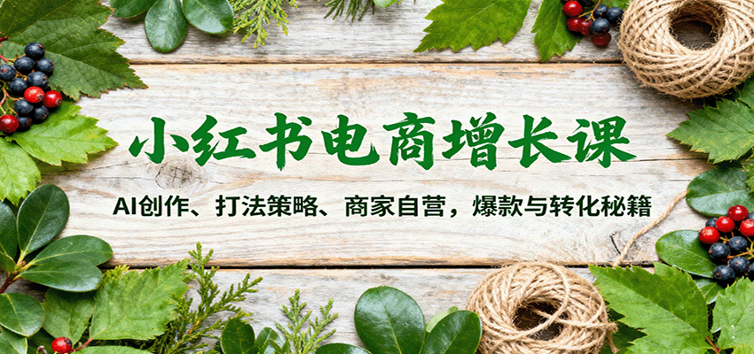 小红书电商增长课：AI创作、打法策略、商家自营，爆款与转化秘籍-Ai创业网