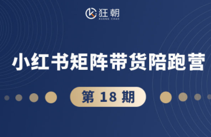 盗坤·抖音小红书视频号短视频带货与直播变现(11-18期)-Ai创业网