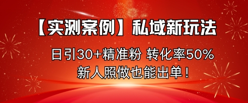 【实测案例】私域新玩法，日引30+精准粉，转化率50%，新人照做也能出单！-Ai创业网
