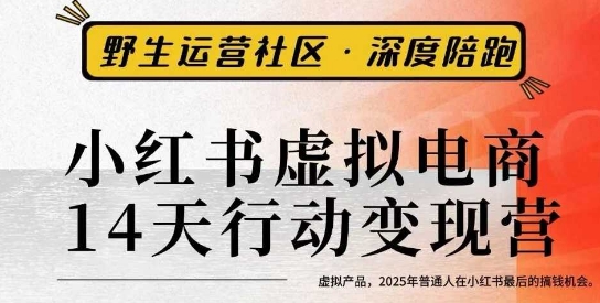 小红书虚拟电商14天变现训练营3.0，​虚拟产品，2025年普通人在小红书最后的搞钱机会-Ai创业网