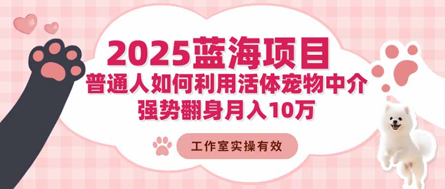 2025蓝海项目：普通人如何利用活体宠物中介，强势翻身月入10万-Ai创业网