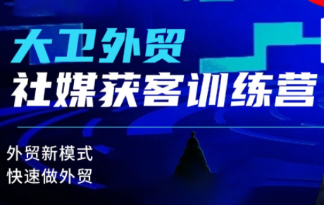 大卫老师·外贸社媒获客独家训练营(更新)-Ai创业网