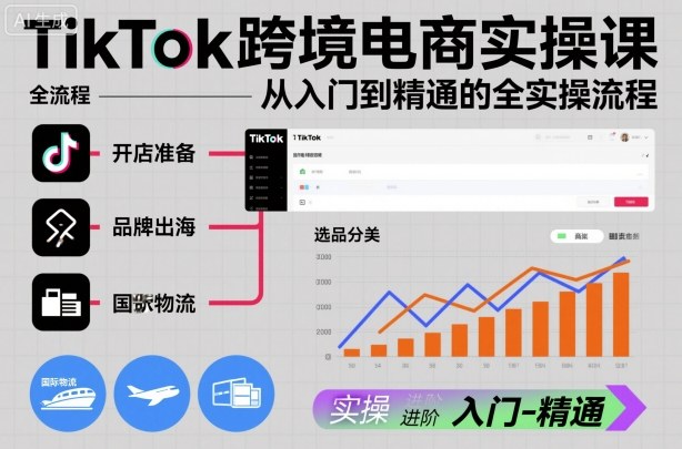 TikTok跨境电商实操课，从入门到精通的全实操流程-Ai创业网