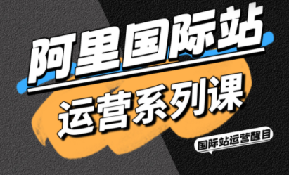 醒目老师·阿里国际站运营系列课(更新11月)-Ai创业网