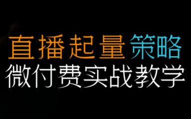 半野老师·直播带货起量与微付费必学课视频号-Ai创业网