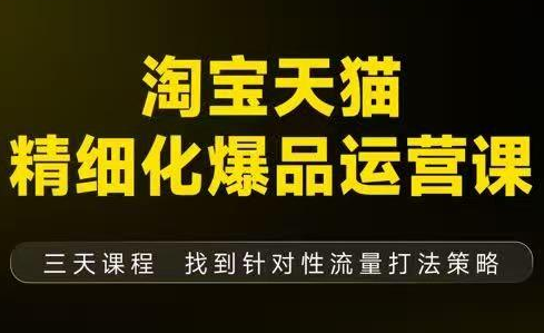 猫课子幽·淘宝天猫精细化爆品运营【音频+字幕+文档】(9月12-14杭州线下课)-Ai创业网