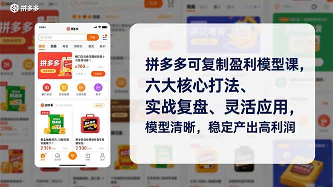 拼多多可复制盈利模型课，六大核心打法、实战复盘、灵活应用，模型清晰，稳定产出高利润-Ai创业网