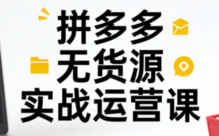 子枫老师·拼多多无货源实战运营课(更新12月)-Ai创业网