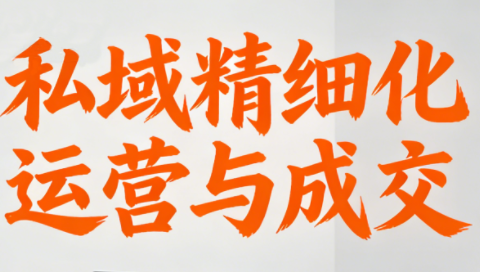 楚老师·私域精细化运营与成交-Ai创业网