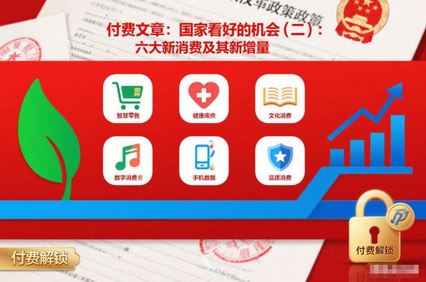 付费文章：国家看好的机会(二)：六大新消费及其新增量-Ai创业网