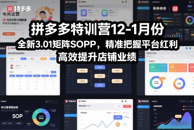 拼多多特训营12-1月份，全新3.01矩阵Sop，精准把握平台红利，高效提升店铺业绩-Ai创业网