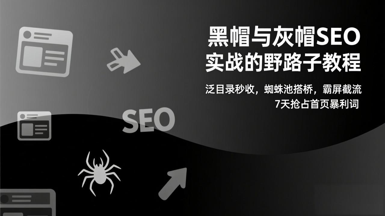 黑帽与灰帽SEO实战的野路子教程：泛目录秒收，蜘蛛池搭桥，霸屏截流，7天抢占首页暴利词-Ai创业网