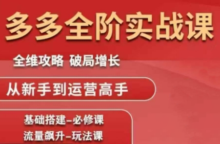 大炮·拼多多全阶实战课程(更新2026)-Ai创业网