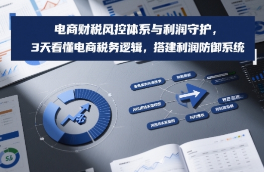 电商财税风控体系与利润守护，3天看懂电商税务逻辑，搭建利润防御系统-Ai创业网