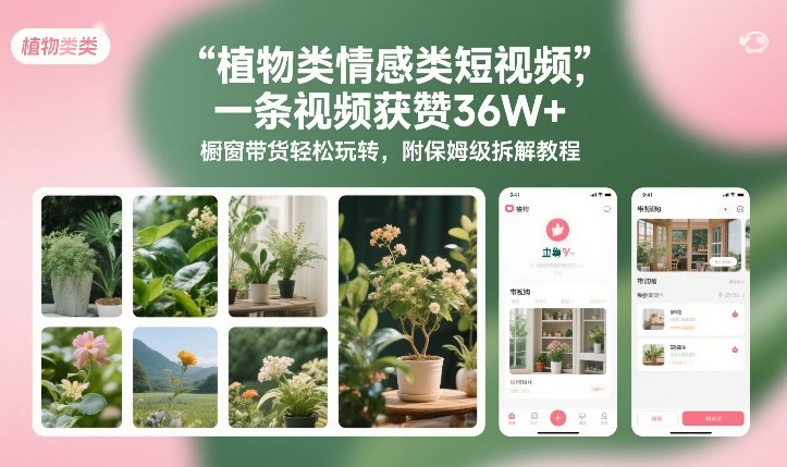 植物类情感类短视频，一条视频获赞36W+，橱窗带货轻松玩转，附保姆级拆解教程-Ai创业网
