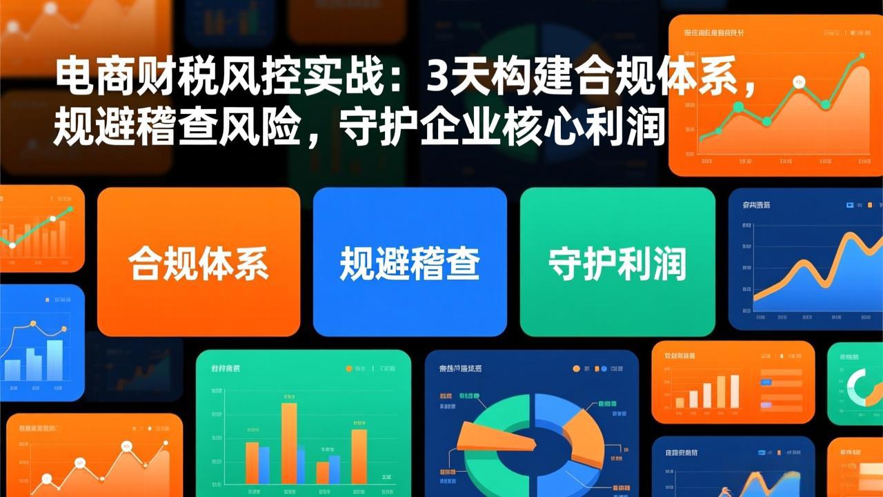 电商财税风控实战：3天构建合规体系，规避稽查风险，守护企业核心利润-Ai创业网