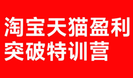 玺承·淘宝天猫盈利突破特训营(25年12月线下课)【音频+字幕】-Ai创业网