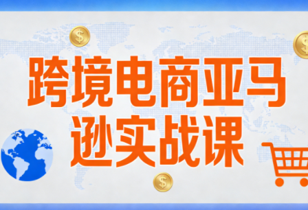 丝丝老师·跨境电商亚马逊实战课(更新2月)-Ai创业网