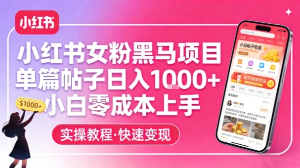 小红书女粉黑马项目，单篇帖子日入1k+，小白零成本上手-Ai创业网