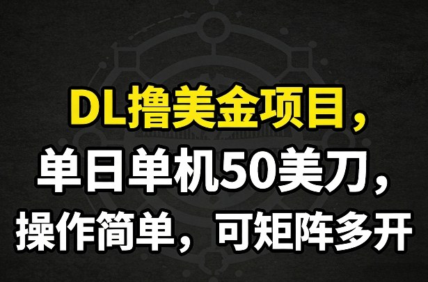 DL撸美金项目，单日单机50美刀，操作简单，可矩阵多开-Ai创业网