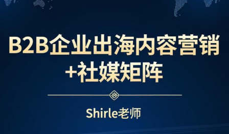 shirle老师·B2B企业出海内容营销+社媒矩阵-Ai创业网