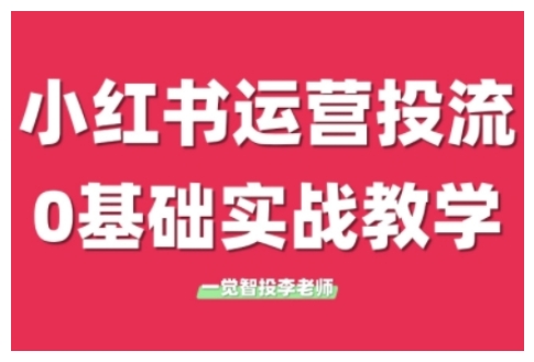 小红书运营投流，小红书广告投放从0到1的实战课，学完即可开始投放(更新26年)-Ai创业网