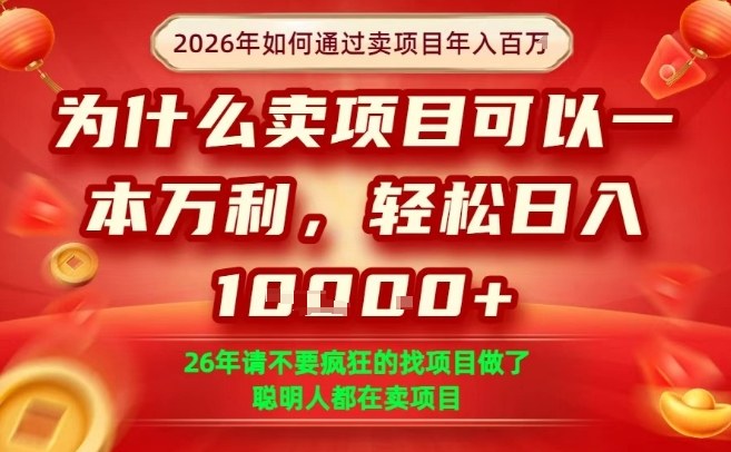 一单净利润1K+，26年想年入100个W，死磕卖项目就够了【揭秘】-Ai创业网