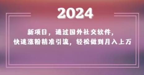 2024新项目，通过国外社交软件，快速涨粉精准引流，轻松做到月入上万【揭秘】-Ai创业网