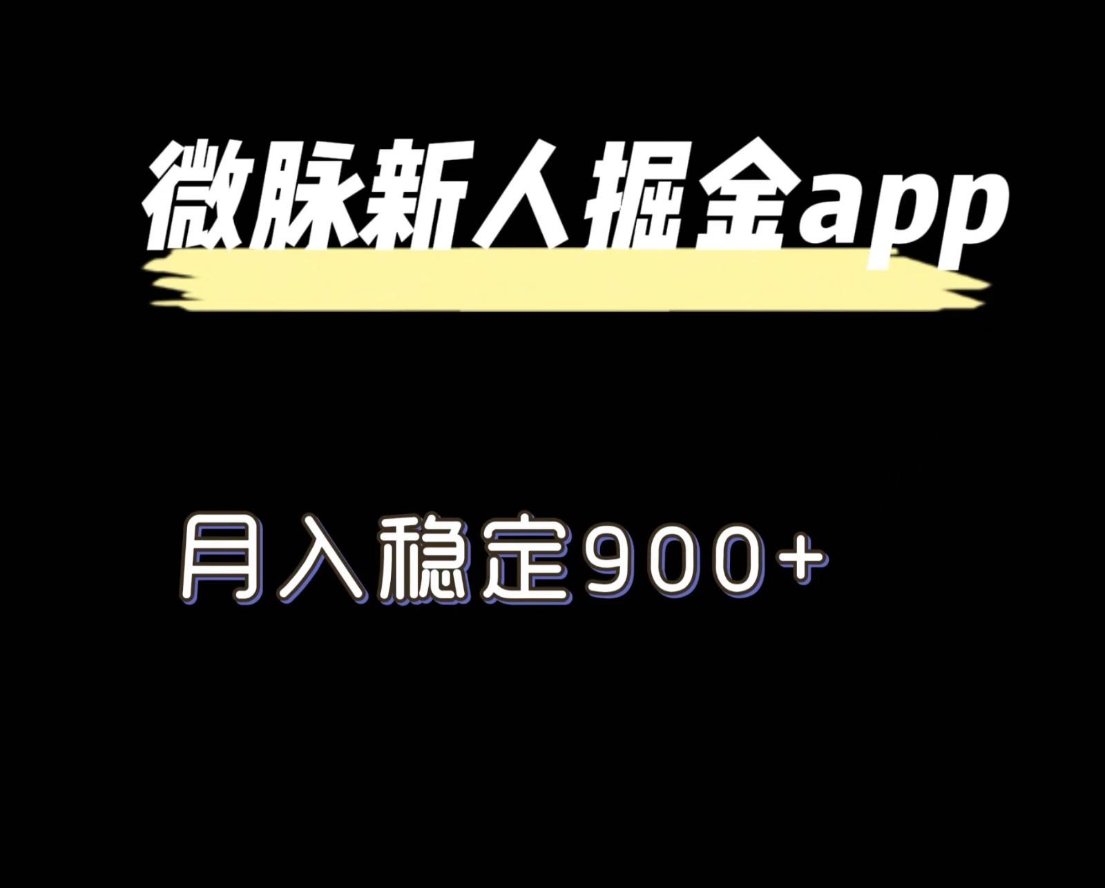 最新微脉长久项目，拉新掘金，月入稳定900+-Ai创业网