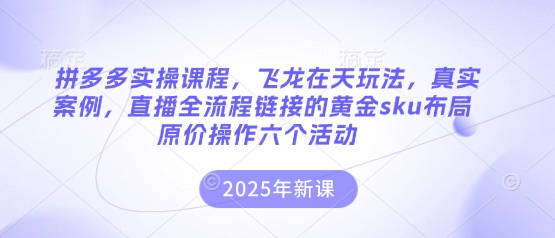 拼多多实操课程，飞龙在天玩法，真实案例，直播全流程链接的黄金sku布局原价操作六个活动-Ai创业网