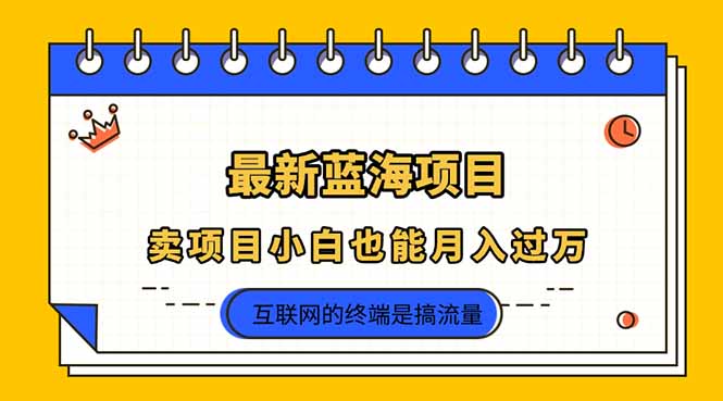 2025年最新蓝海项目，卖项目小白也能月入过万-Ai创业网
