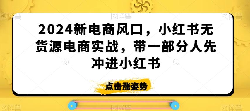 2024新电商风口，小红书无货源电商实战，带一部分人先冲进小红书-Ai创业网