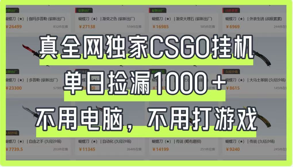 真全网独家CSGO挂机，单日捡漏1000+，不用电脑，不用养号-Ai创业网