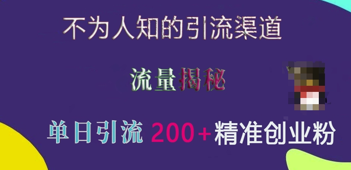 不为人知的引流渠道，流量揭秘，实测单日引流200+精准创业粉【揭秘】-Ai创业网