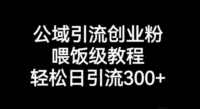 公域引流创业粉，喂饭级教程，轻松日引流300+【揭秘】-Ai创业网