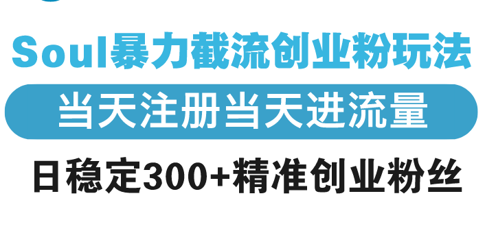 Soul暴力截流创业粉玩法，当天注册当天进流量，日稳定300+精准创业粉丝-Ai创业网