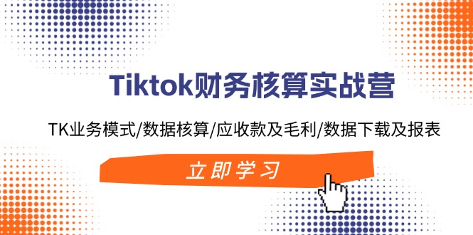 Tiktok财务核算实战营：TK业务模式/数据核算/应收款及毛利/数据下载及报表-Ai创业网