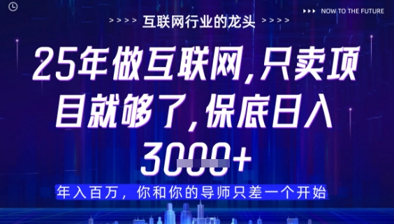 什么！25年你还在找项目做？风口早就变了，卖项目才是稳挣不赔【揭秘】-Ai创业网