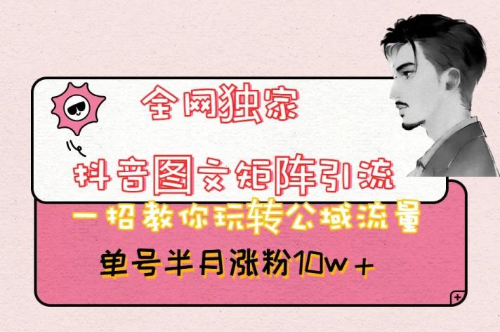 全网独家抖音图文矩阵引流，一招教你玩转公域流量，单号半月涨粉10w+【揭秘】-Ai创业网