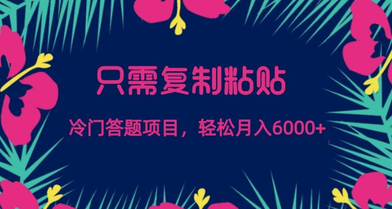 只需复制粘贴，冷门答题项目，轻松月入6000-Ai创业网