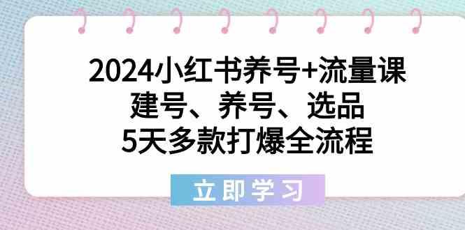 2024小红书养号+流量课：建号、养号、选品，5天多款打爆全流程-Ai创业网