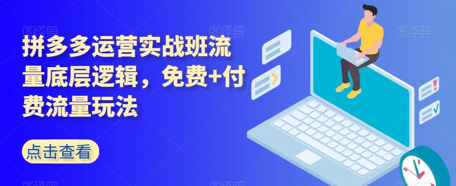 拼多多运营实战班流量底层逻辑，免费+付费流量玩法-Ai创业网