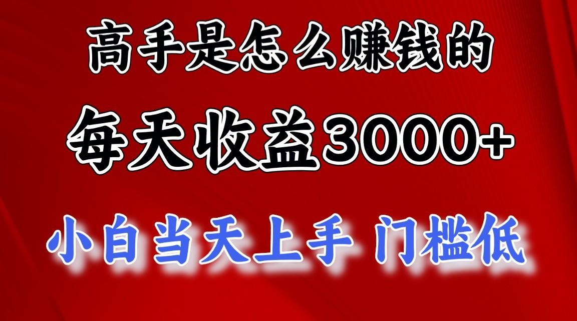 高手是怎么赚钱的，一天收益3000+，闷声发财项目，不是一般人能看懂的-Ai创业网