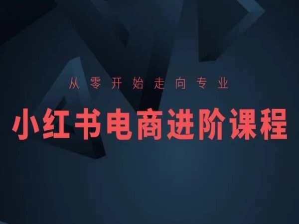 从零开始走向专业，小红书电商进阶课程-Ai创业网