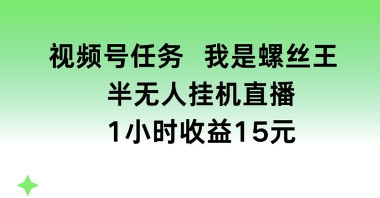 视频号任务，我是螺丝王， 半无人挂机1小时收益15元【揭秘】-Ai创业网