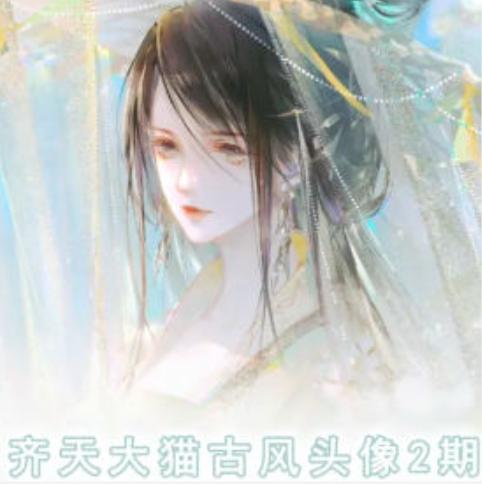 齐天大猫古风头像课第2期，帮助您提高您的绘画技能-Ai创业网