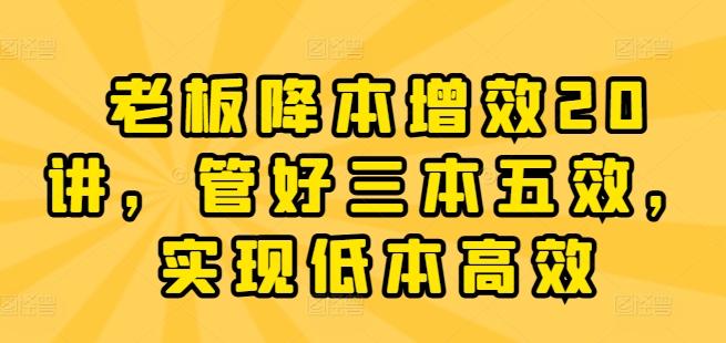 老板降本增效20讲，管好三本五效，实现低本高效-Ai创业网