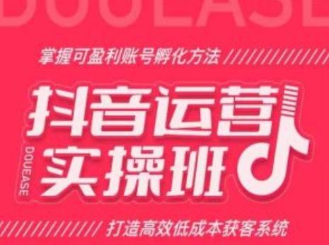 抖音运营实操班，掌握可盈利账号孵化方法，打造高效低成本获客系统-Ai创业网