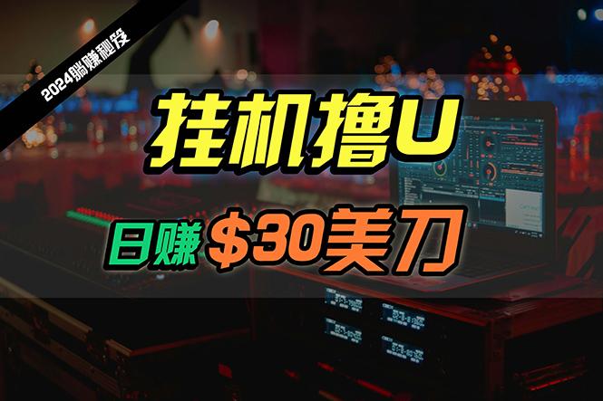 (10013期)日赚30美刀，2024最新海外挂机撸U内部项目，全程无人值守，可批量放大-Ai创业网
